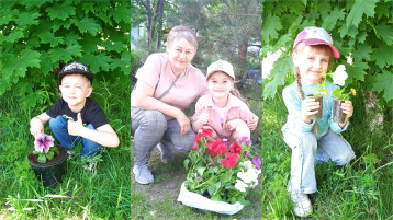 Украсим клумбу Украсим клумбу.