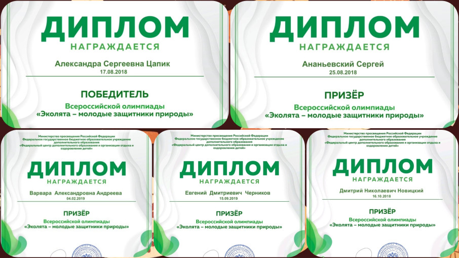 Всероссийская олимпиада Всероссийская олимпиада.