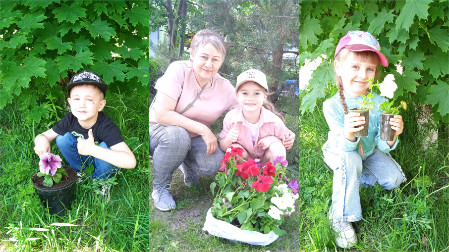 Украсим клумбу Украсим клумбу.